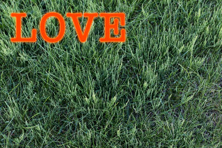 Green grass greeting card template for Valentines day, place or text
