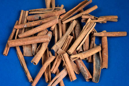 bunch of brown cinnamon sticks on blue background, empty space for text, ingredient for cooking