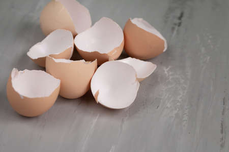 Damaged eggshell background, new life begins. Organic fertilisation concept, space for text