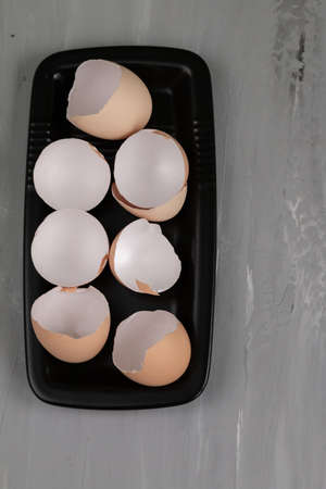 Damaged eggshell background, new life begins. Organic fertilisation concept, space for text