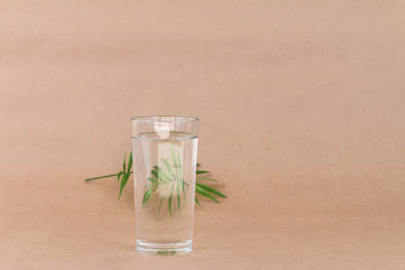 art picture of palm leaf behind water glass, creative reflections beige backgroundの写真素材