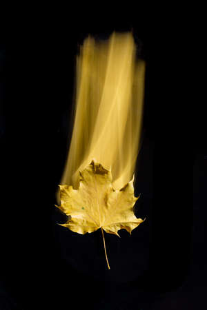 maple leaf with motion blur effect made by long exposure isolated on black background