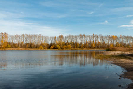 autumn landscape with lake and yellow trees, suburban lifeの写真素材