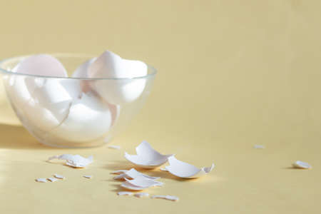 broken egg shell on yellow background with space for text, begging of life concept