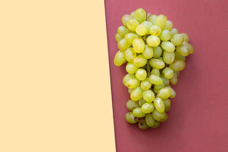 green grape branch isolated on yellow background with red color block, healthy and delicious foodの写真素材