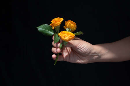 orange rose flowers bouquet background, empty space for text, greeting card templateの写真素材