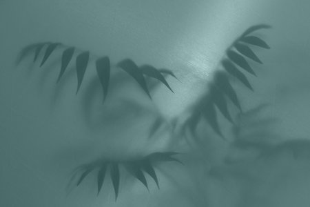 blurred picture with fog effect of palm leaves silhouettes behind frosted glass with backlight