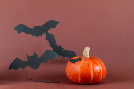 halloween picture with pumpkin and bat against brown backgroundの写真素材
