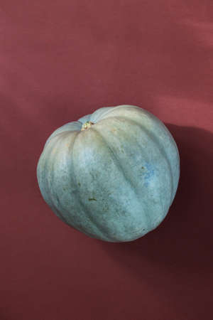 Green pumpkin isolated on brown backgroundの写真素材