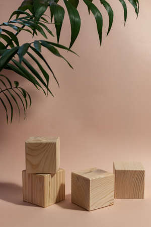 wooden cubes still life against pale pink background with blurred palm leavesの写真素材