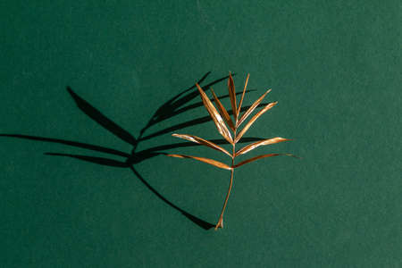 golden painted palm leaf with deep long shadow on green background