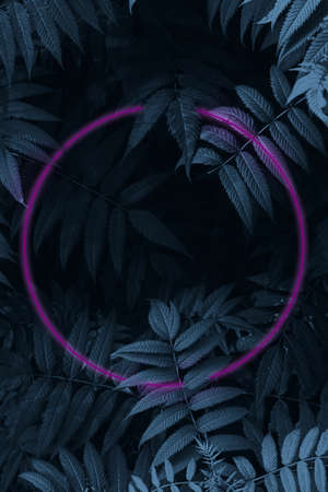 Nature background with leaves in dark blue mode with neon pink glowing frame. Digital collageの写真素材