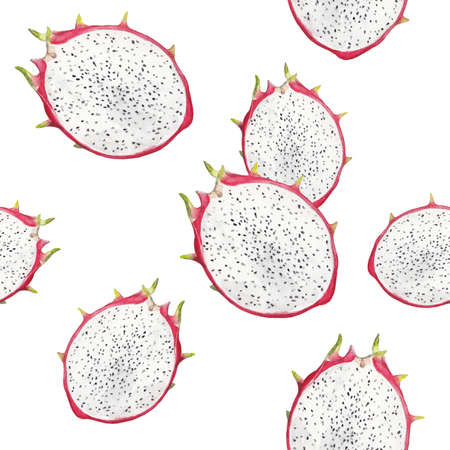 food illustration juicy ripe dragon fruit composition with whole fruit and half watercolor drawing pattern 1の写真素材