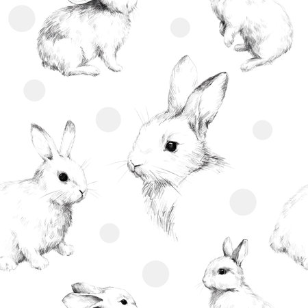 Drawing with rabbits collage cute fuzzy pattern 2 Pencil sketch With circlesの写真素材