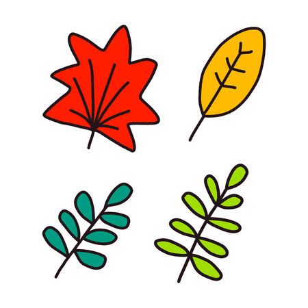 Pack of leaves handdrawn in minimalistic style on white backgroundのイラスト素材