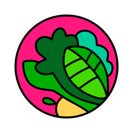 Vegetables and salad leafed hand drawn  for prints posters t shirts branding fruit store bar vegan restaurant drinks cocktailsのイラスト素材
