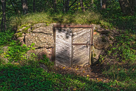 Derelict old door in stone wall covered by vegetation in the forest.の写真素材