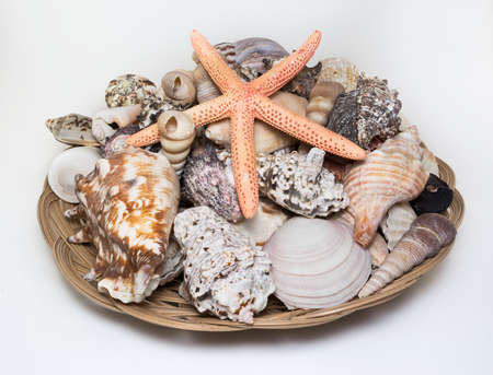 Big bowl of beautiful multicolored seashells with starfish on white background.の写真素材
