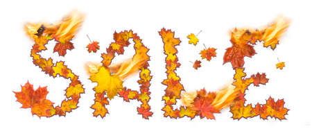 Word Sale with flame made of bright maple leaves on white background for signboard or advertisement.の写真素材