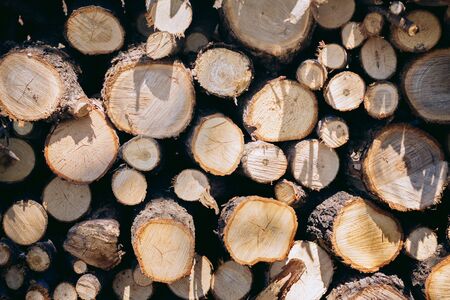 Closeup of woodpile of cut firewood logs and branches. Rustic fuel concept.の写真素材