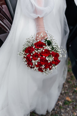 delicate wedding bouquet in the brides hand of red roses on the background of a white dress.の写真素材