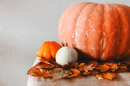 Still life with pumpkins and leaves.