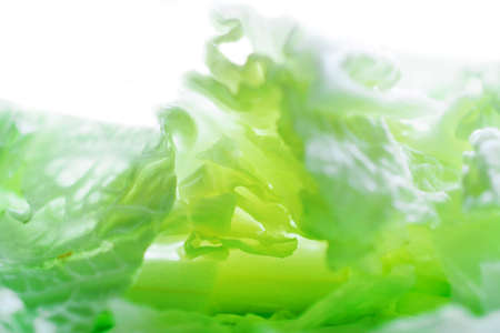 Peking cabbage leaves close-up. Healthy food. Macro photo.の写真素材