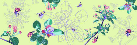 Spring banner with flowering apple tree branches, bees and ladybirds. Flowers on a green background. Floral background.の写真素材