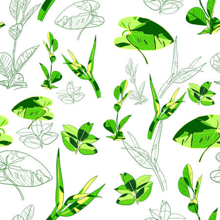 Green leaves on a white background. Seamless pattern with leaves.の写真素材