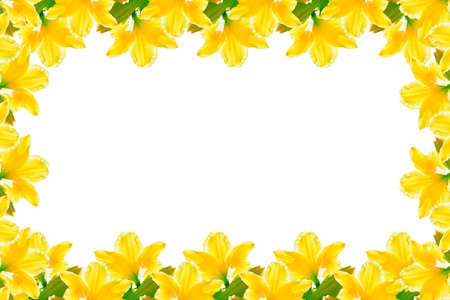 Flower frame of yellow lilies. Copy space.の写真素材