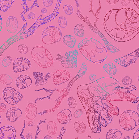 Contour drawing of seashells and snags on a pink background. Seamless pattern. Marine background.の写真素材