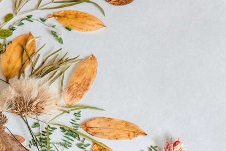 A lot of different dried leaves on a white background. Autumn decor. Free placeの写真素材