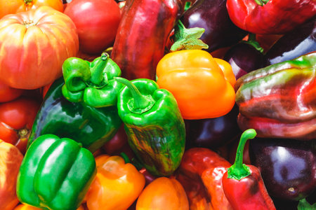 Green, red and yellow peppers, eggplants and tomatoes close-up. Colorful vegetable background. Autumn harvest from the garden. Healthy food.の写真素材