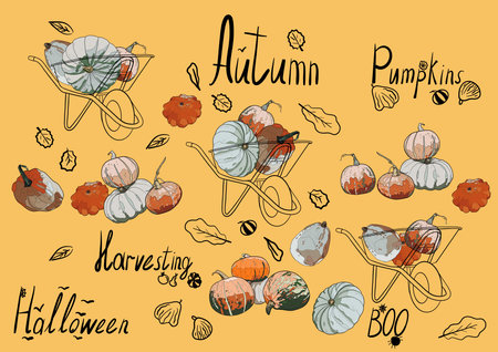 Carts with pumpkins and autumn inscriptions on a yellow background. Autumn illustration. Harvesting.の写真素材
