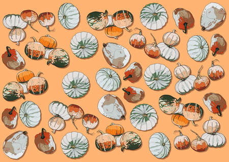 Many different pumpkins on an orange background. Vegetable background. Autumn illustration.の写真素材