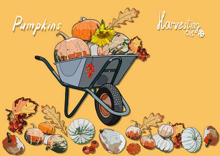 Autumn illustration. Pumpkins in a cart on a yellow background with inscriptions. Harvesting.の写真素材
