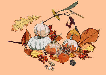Pumpkins, mushrooms, leaves and berries on a pink background. Autumn background.の写真素材