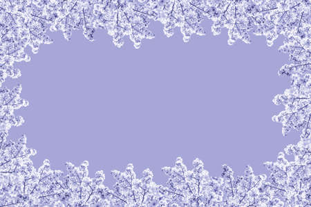 Frame from flowering branches of an apple tree on a lilac background. Copy space. Spring postcard. Very Peri is the color of the year 2022.の写真素材