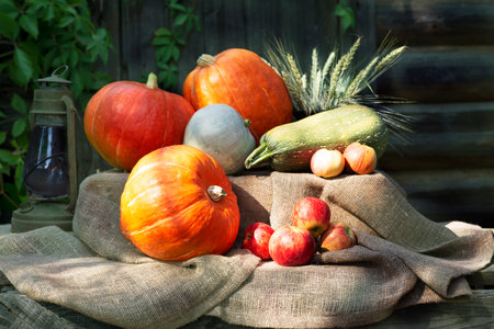 Still life, orange pumpkins with kerasin lamp on a wooden table covered with burlap