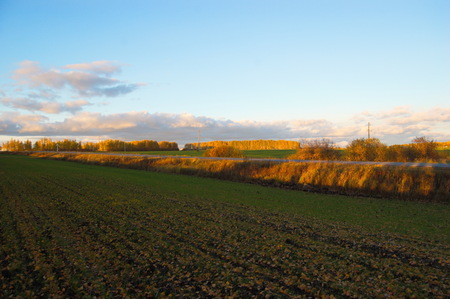 landscape with road and trees on a yellow sunsetの写真素材
