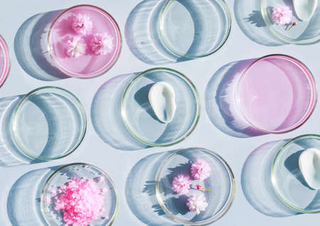 petri dish with cosmetic samples on a light background