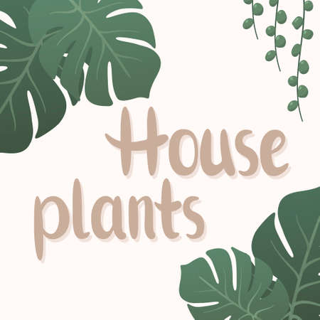 Vector illustration of lettering of house plants with decoration from monstera leavesのイラスト素材