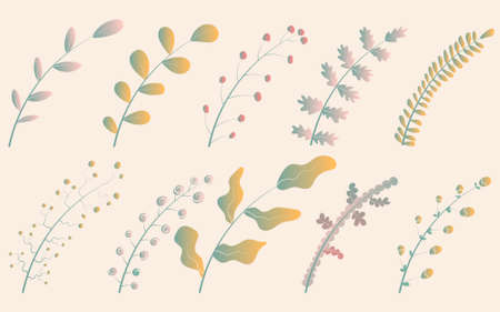 Vector illustration set of cute gradient branches with leaves yellow and green of different shapes.のイラスト素材