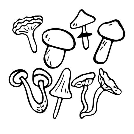flat illustration set of mushrooms icons.のイラスト素材