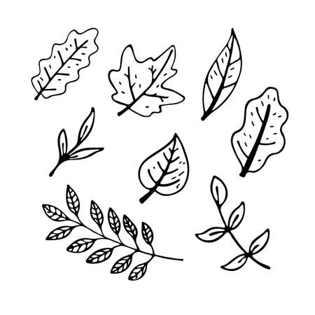 flat illustration autumn leaves outline.のイラスト素材