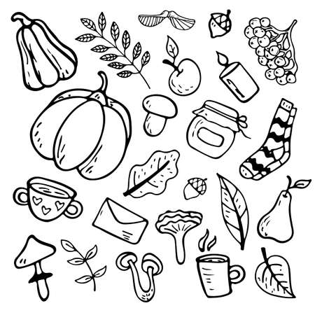 flat illustration on an autumn theme: mushrooms, vegetables, leaves, cute attributes. Doodle objects are cut out.のイラスト素材
