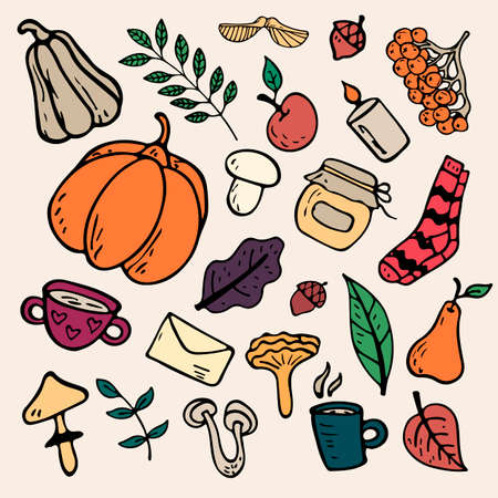flat illustration on an autumn theme: mushrooms, vegetables, leaves, cute attributes.のイラスト素材