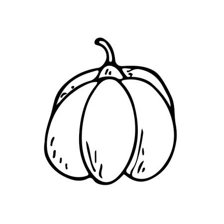 flat illustration on an autumn theme, pumpkin. Doodle object.のイラスト素材