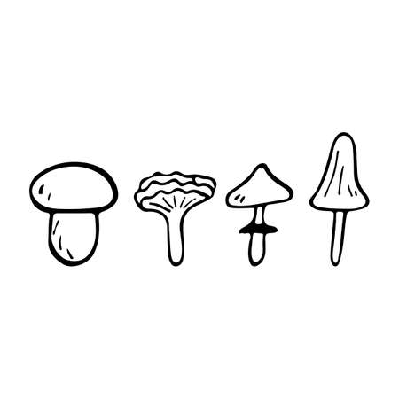flat illustration set of mushrooms icons. Doodle objects are cut out.のイラスト素材