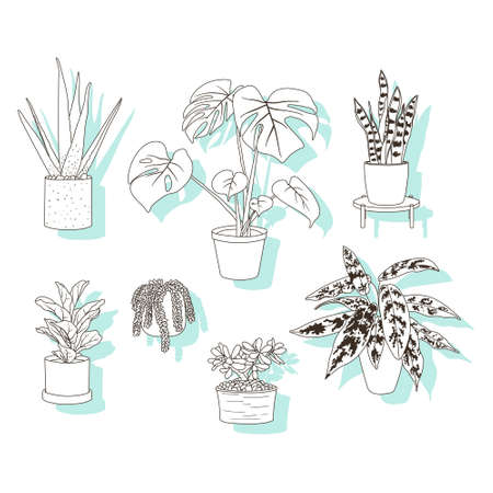 Set of stickers or icons, trendy house plants in pots, aloe vera, fiddle leaf fig, snake plant, monstera, burros tail, aglaonema, jade plant. Succulents and leafy plants. Decor for the interior.のイラスト素材